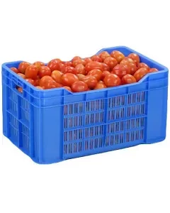 Fresh Tomatoes