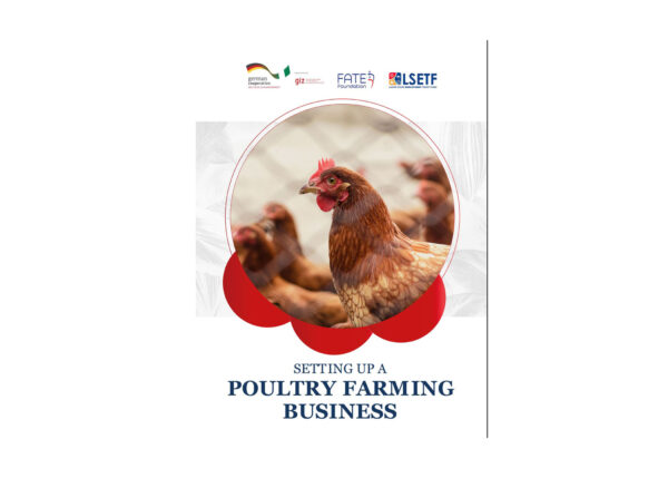 Setting up a poultry farming business in Nigeria